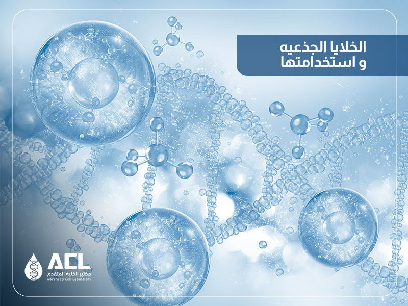 الخلايا الجذعية واستخداماتها | دليل شامل مع مختبر الخلية المتقدم