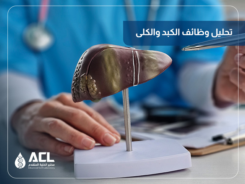 تحليل وظائف الكبد والكلى في السعودية