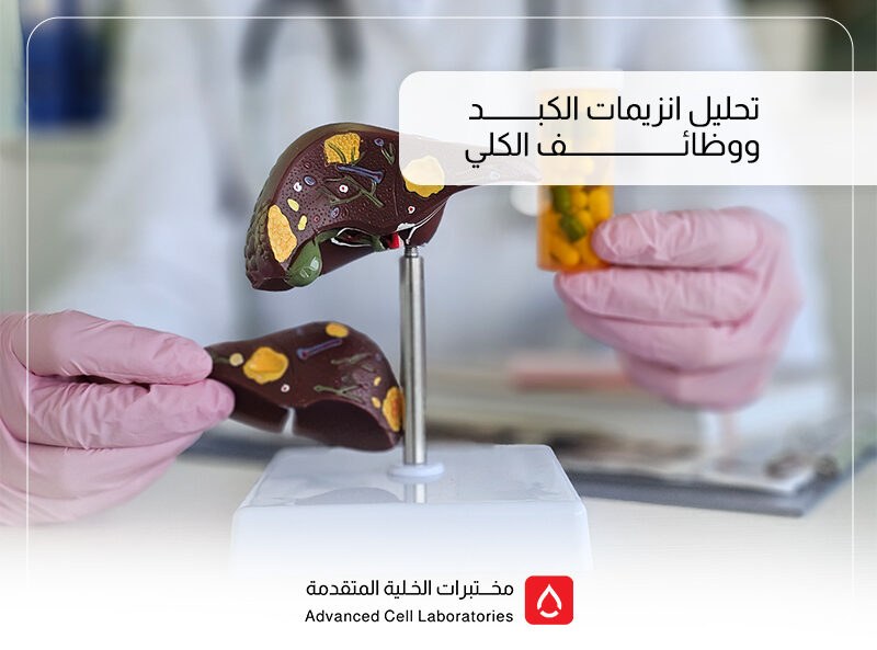 تحاليل وظائف الكبد: دليلك الكامل لفهم الفحوصات وأهميتها