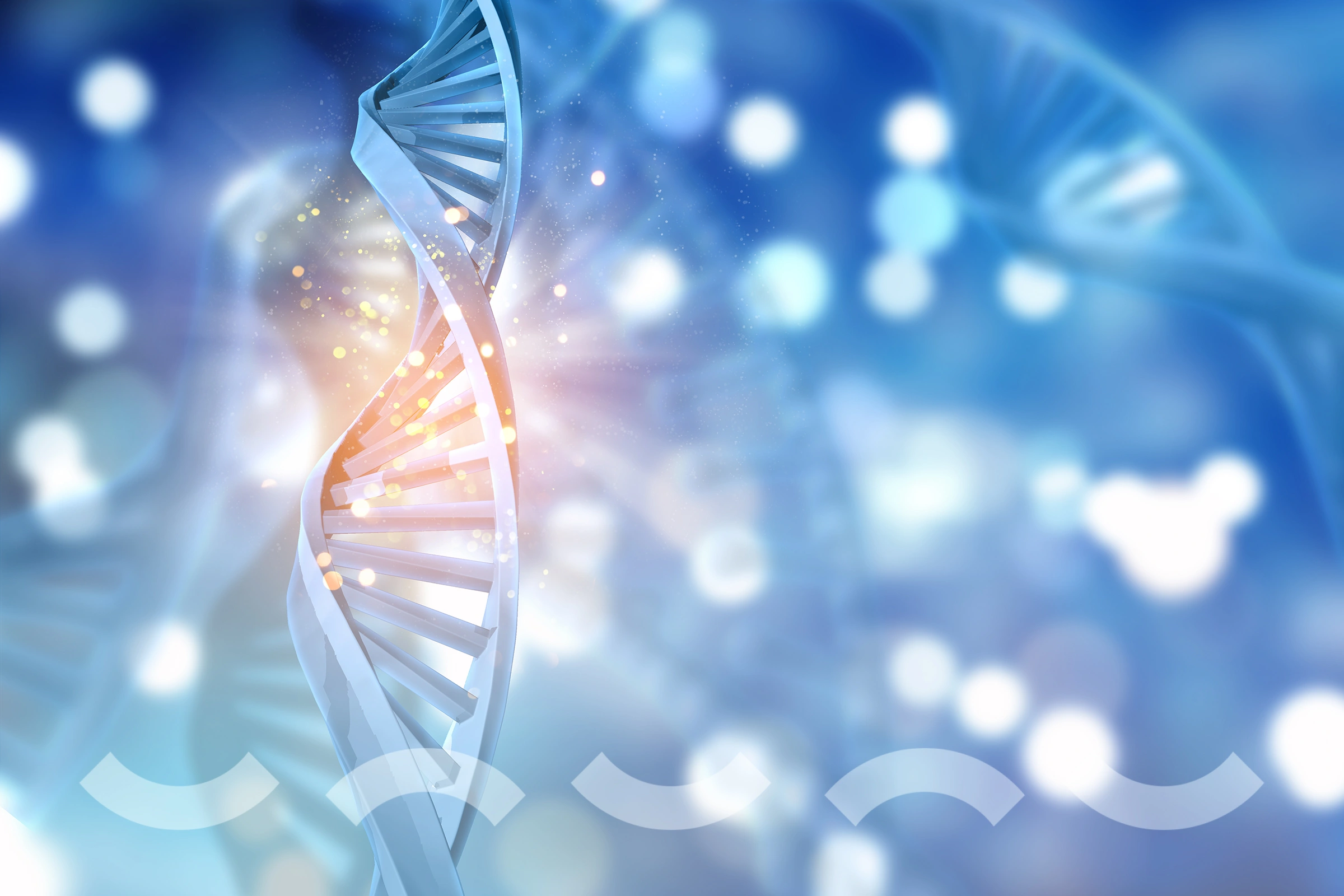 Performance Genetic Program (NV: #L4PER) 5 الجينية 1 1