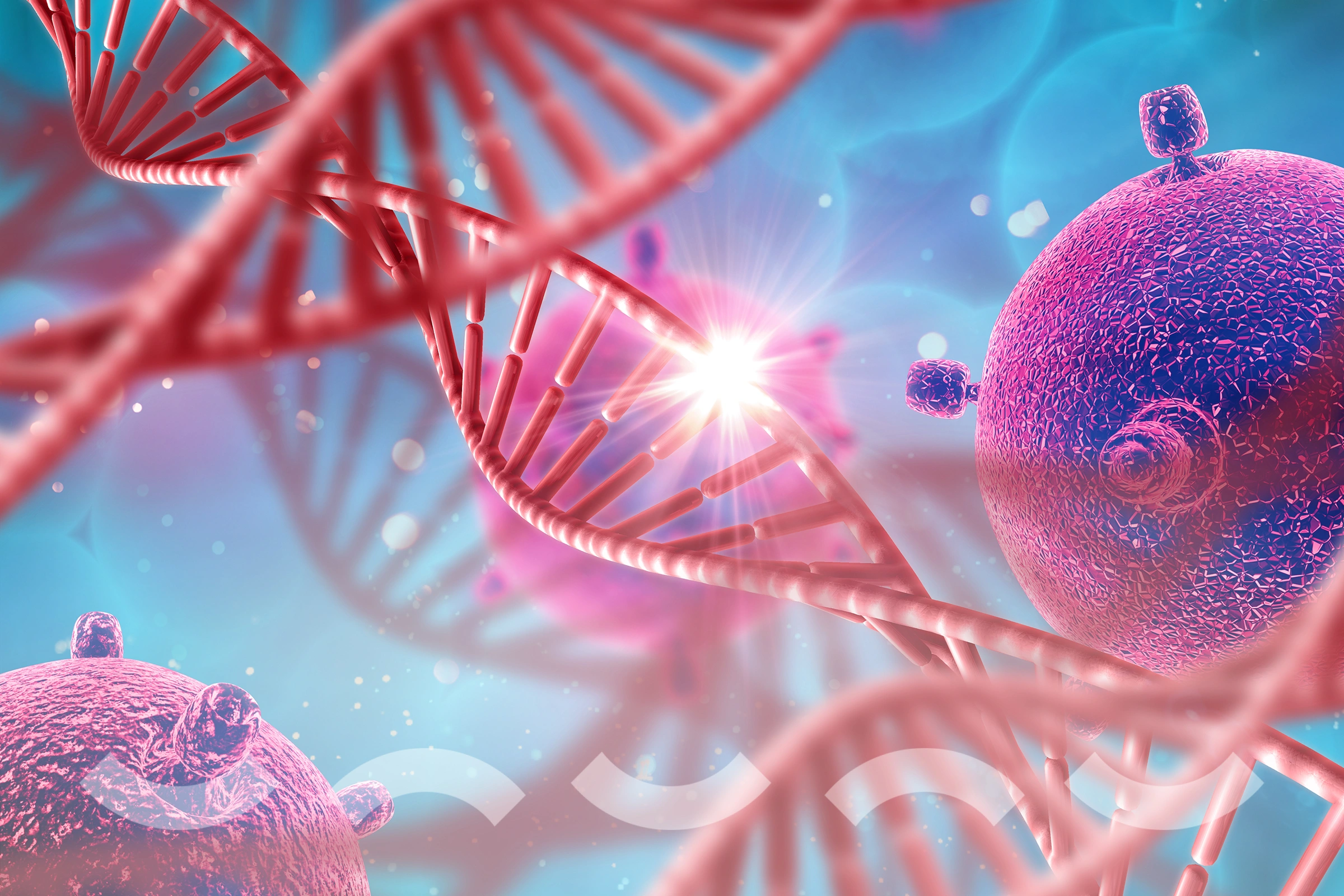 Performance Genetic Program (NV: #L4PER) 4 الجينية 2 1