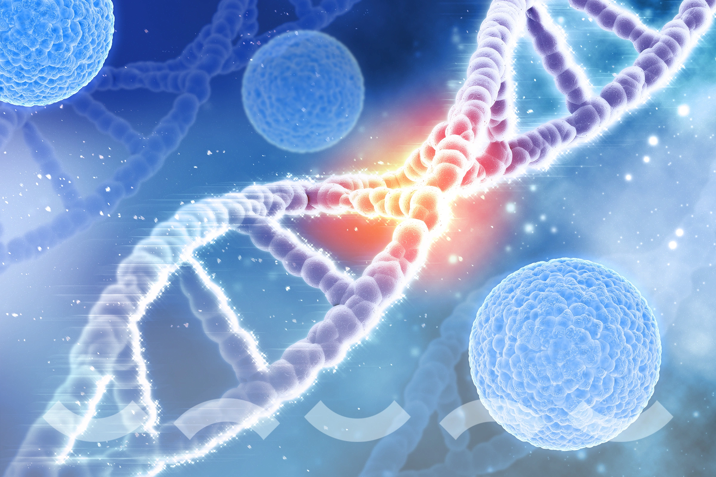 Performance Genetic Program (NV: #L4PER) 3 الجينية 3 1